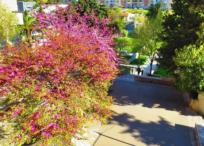 Διαμέρισμα Priska